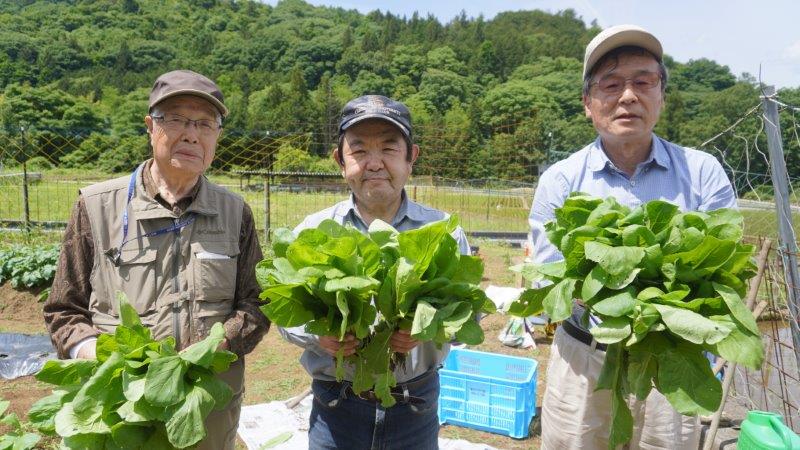 共同菜園の画像